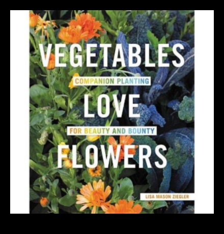 Blossom Bounty: Stăpânirea artei îngrijirii holistice a grădinii