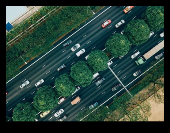 Autostrăzi verzi: impactul mașinilor electrice asupra reducerii amprentei de carbon