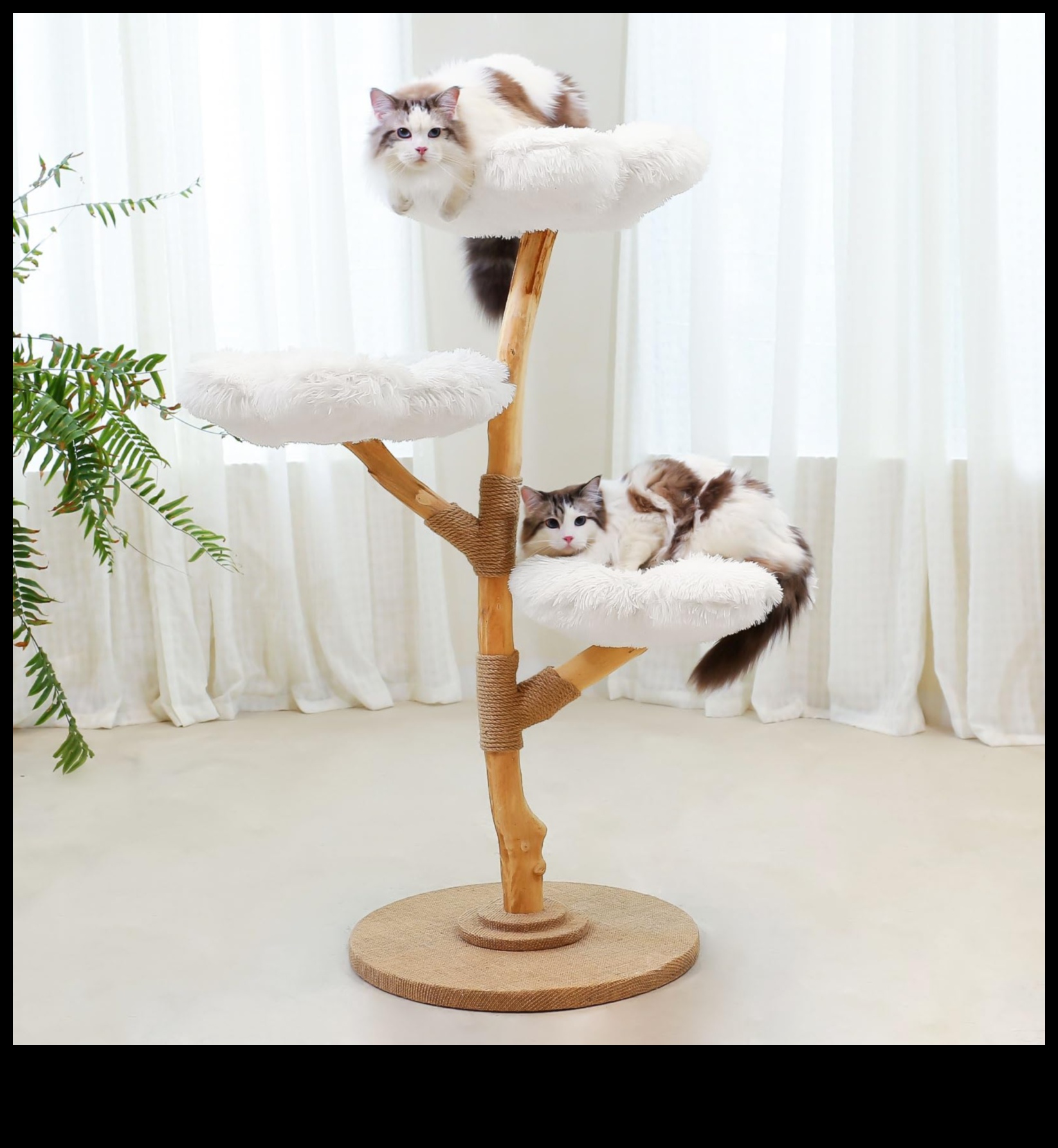 Cat Condo Crafting Continuare: Adăugarea de colțuri confortabile