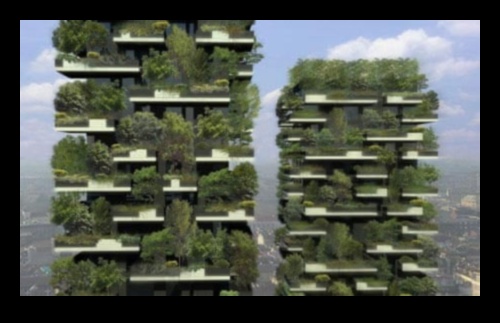 Înflorește zgârie-nori: creșterea frumuseții cu grădinăritul vertical