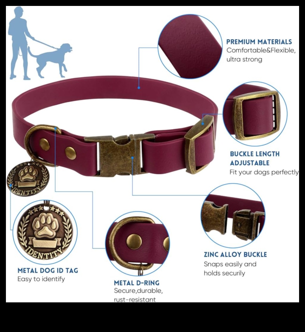 Farmecul canin Continuare: Îmbunătățiți-vă colecția de zgarda câinelui