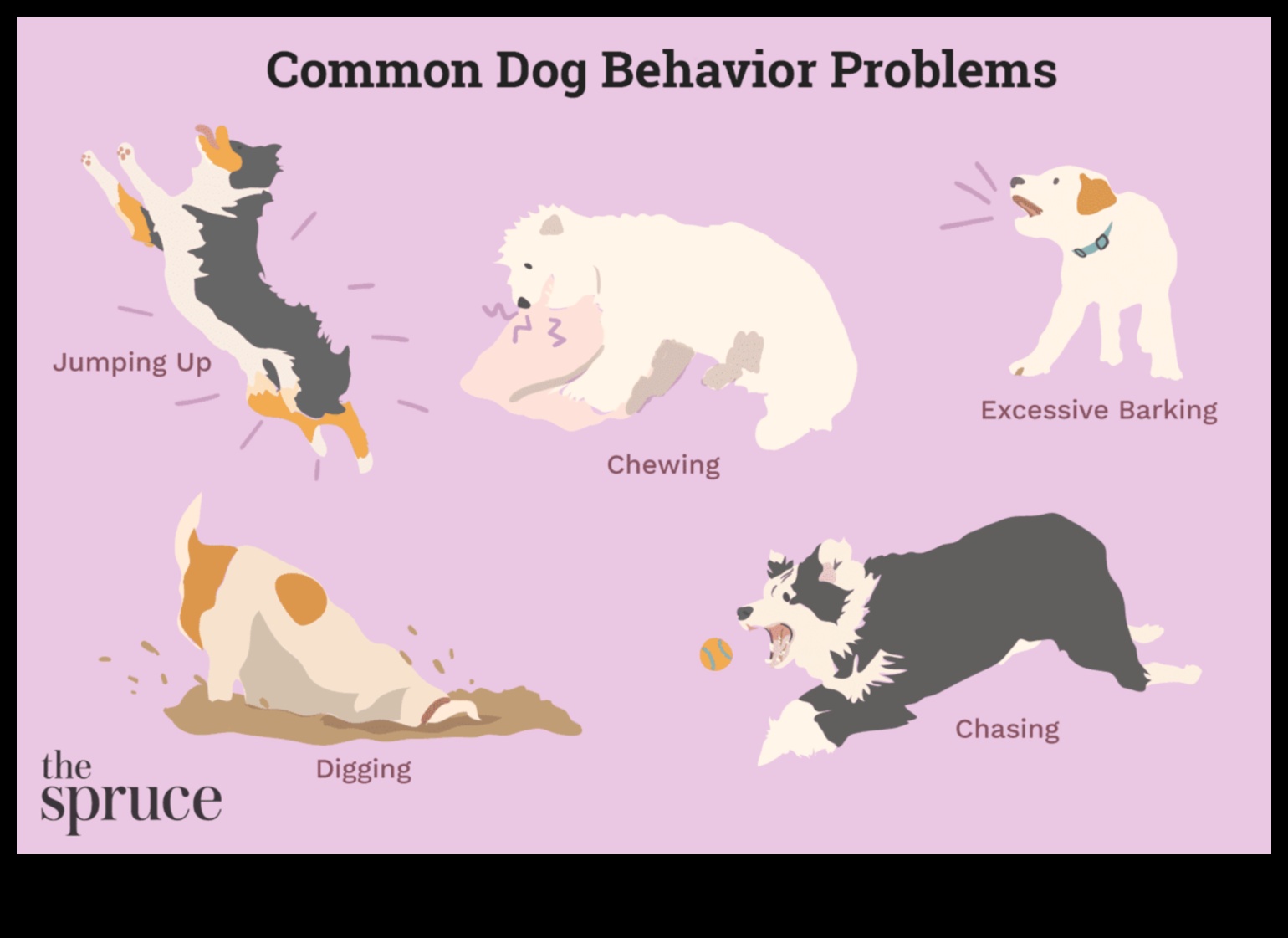 Provocări canine: depășirea problemelor comune de comportament ale câinilor