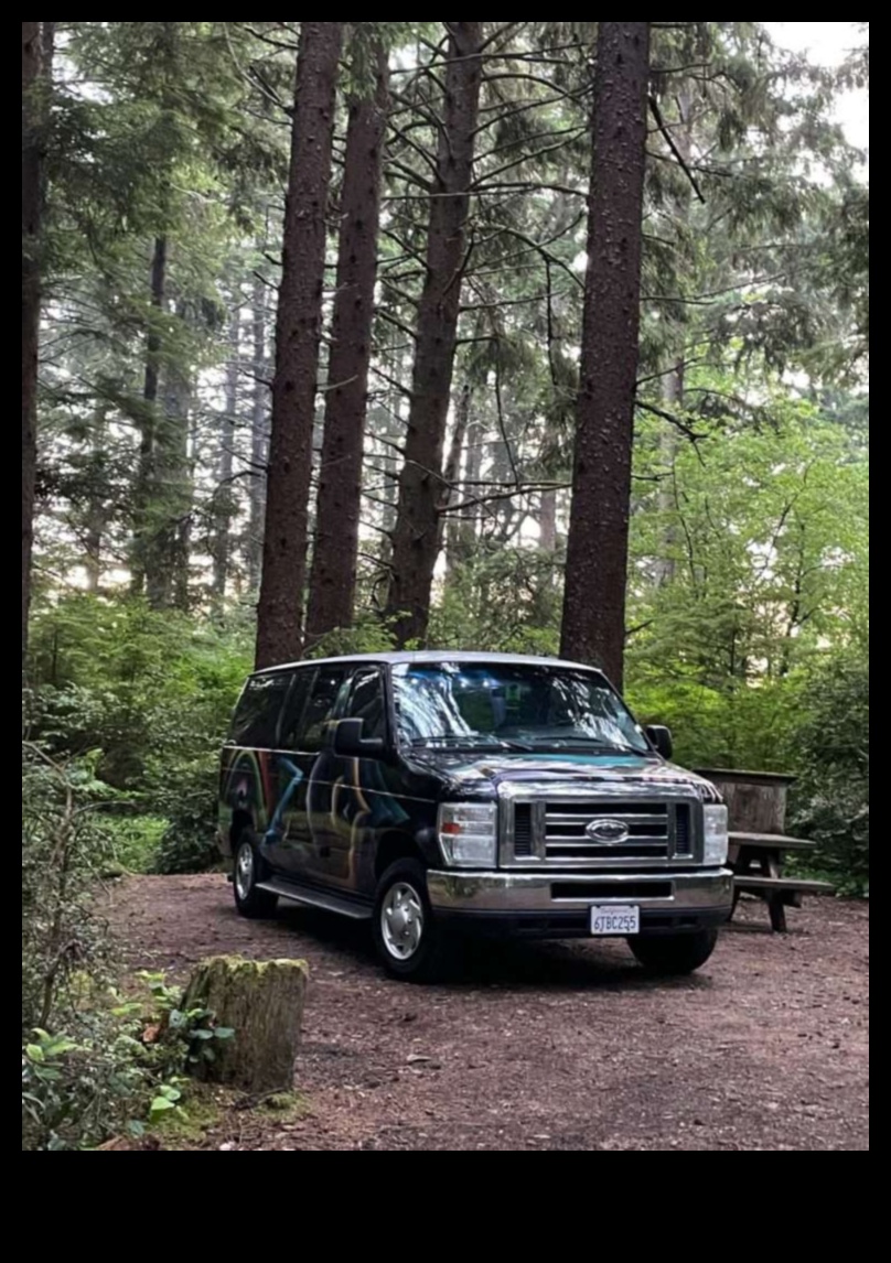 Dincolo de jungla urbană: aventuri cu furgonete în peisaje îndepărtate