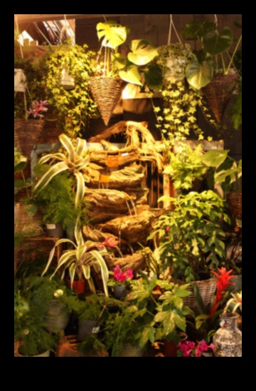 Indoor Jungle Dreams: proiectarea spațiilor verzi luxuriante în interior