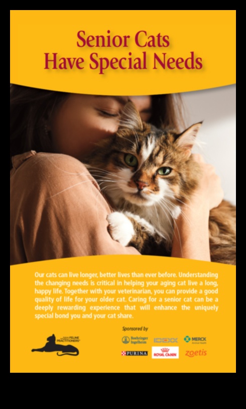 În prim-planul pisicilor seniori: Îngrijirea prietenilor feline în vârstă