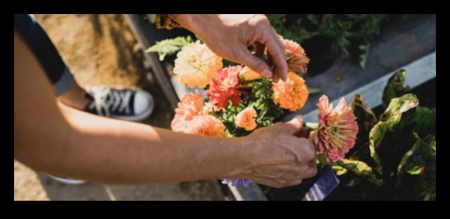 Cultivați bucuria: pași esențiali pentru îngrijirea vibrantă a grădinii