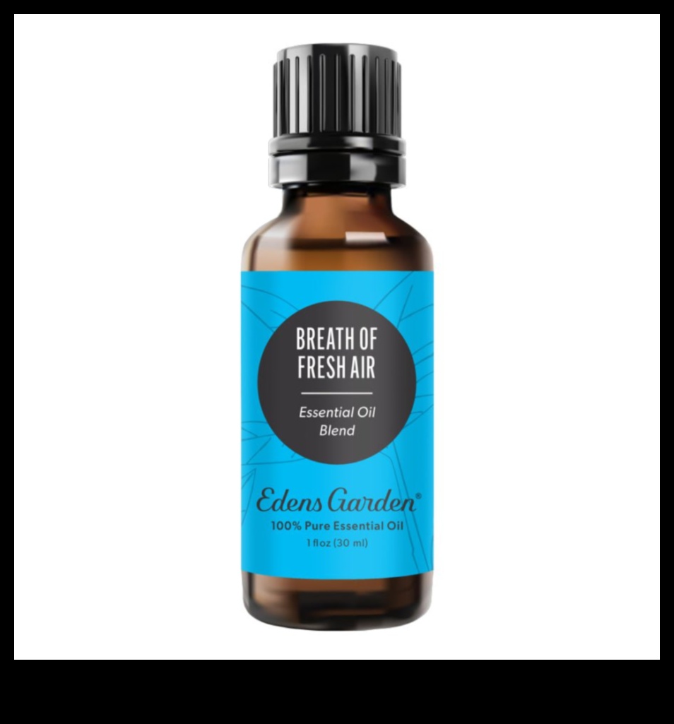 Dă viață grădinii tale: elemente esențiale pentru echipamente de top