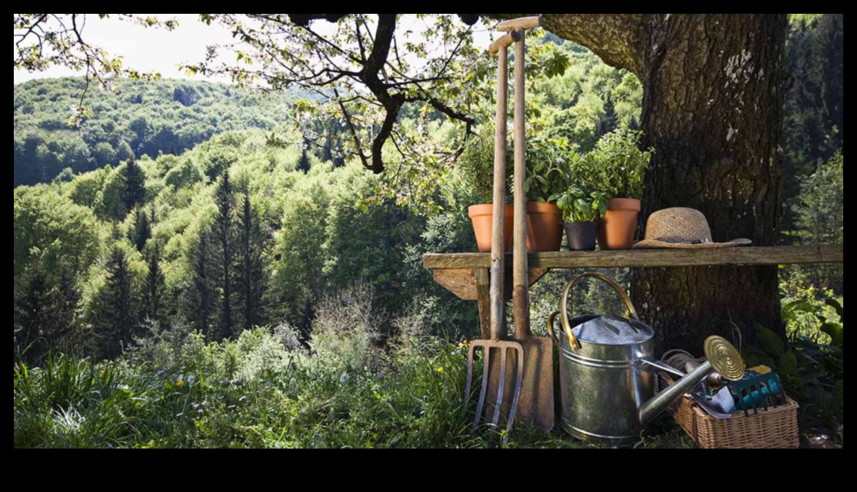 Dă viață grădinii tale: elemente esențiale pentru echipamente de top