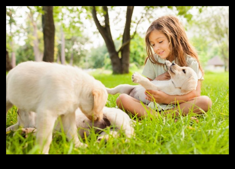 Elemente esențiale ale grupului de joacă pentru căței: socializarea cățelului cu alți câini