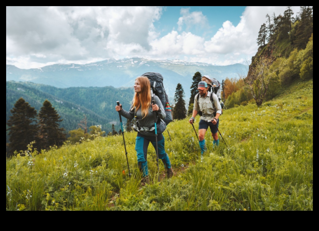 Navigați în natură: un ghid al călătorilor pentru aventuri ecologice