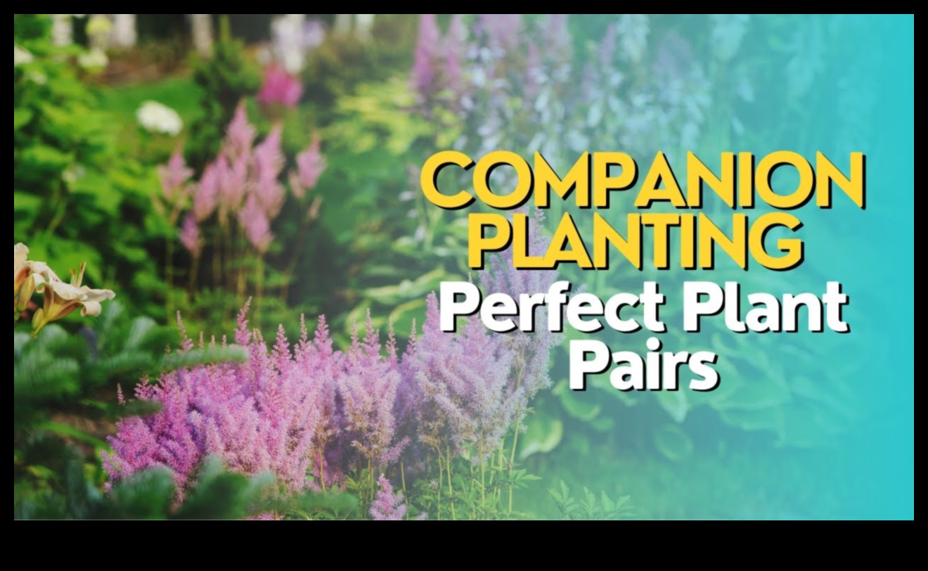 Însoțitori înfloriți: știința din spatele armoniei grădinii