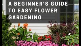 Blossom Bounty: Stăpânirea artei îngrijirii holistice a grădinii