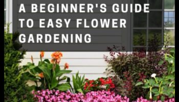 Blossom Bounty: Stăpânirea artei îngrijirii holistice a grădinii