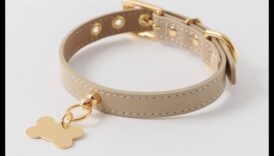 Farmecul canin Continuare: Îmbunătățiți-vă colecția de zgarda câinelui