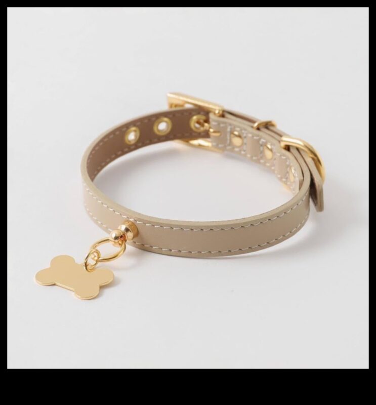 Farmecul canin Continuare: Îmbunătățiți-vă colecția de zgarda câinelui