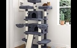 Cat Condo Crafting Continuare: Adăugarea de colțuri confortabile