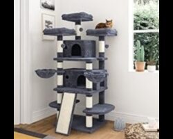 Cat Condo Crafting Continuare: Adăugarea de colțuri confortabile