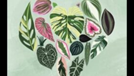 Cultivați bucuria: pași esențiali pentru îngrijirea vibrantă a grădinii