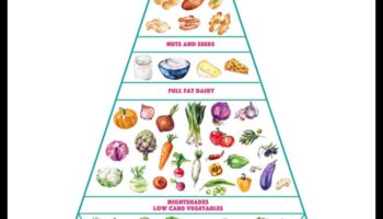 Navigarea călătoriei cu conținut scăzut de carbohidrați: o scufundare profundă în viața cetogenă