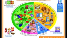 Defalcarea componentelor unui stil de viață de succes