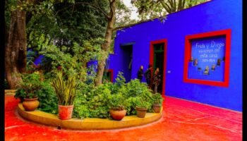 Garden Muse: Arta captivantă pentru a vă inspira refugiul în aer liber