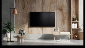 Imaginea perfectă: alegerea televizorului potrivit pentru plăcerea dvs. de vizionare