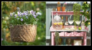 Înflorește cu un buget: minuni de bricolaj pentru grădina ta înfloritoare