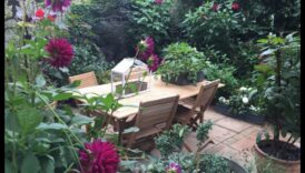 Plot mic, vise mari: inspirații de grădinărit urban