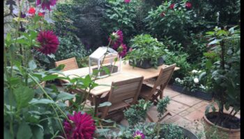 Plot mic, vise mari: inspirații de grădinărit urban