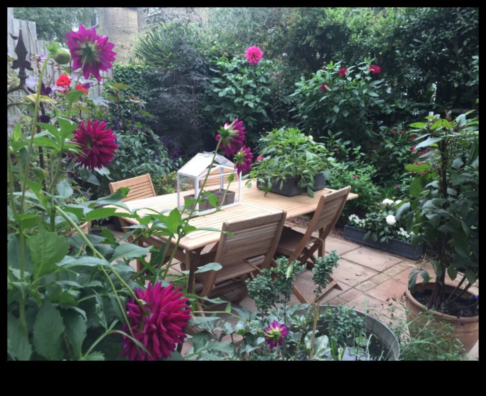 Plot mic, vise mari: inspirații de grădinărit urban