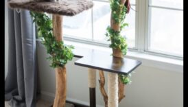 Mobilier pentru pisici de bricolaj: clădire stâlpi de zgâriere și structuri de cățărat