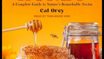 Navigate Nectar: ​​Sorbiți picături dulci de cunoștințe de călătorie