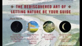 Navigați în natură: un ghid al călătorilor pentru aventuri ecologice