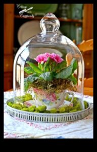Blossom Brilliance: Afaceri creative de bricolaj așteaptă