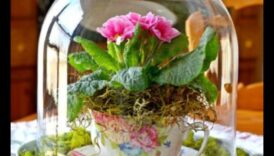 Blossom Brilliance: Afaceri creative de bricolaj așteaptă