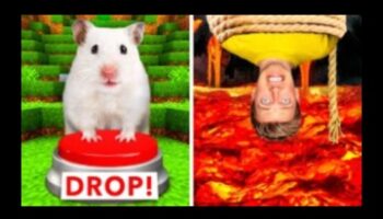 Provocări hamster-and-seek: construirea de labirinturi complicate