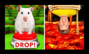 Provocări hamster-and-seek: construirea de labirinturi complicate