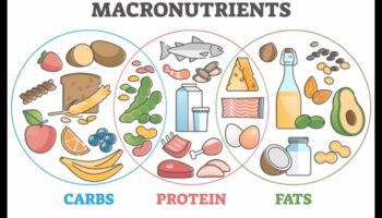 Dietele pe termen scurt și importanța nutriției echilibrate