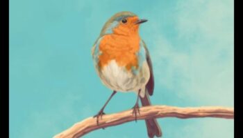 Simfonia pe cer: lumea armonioasă a sunetelor păsărilor