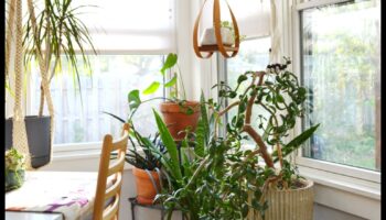 Indoor Jungle Dreams: proiectarea spațiilor verzi luxuriante în interior