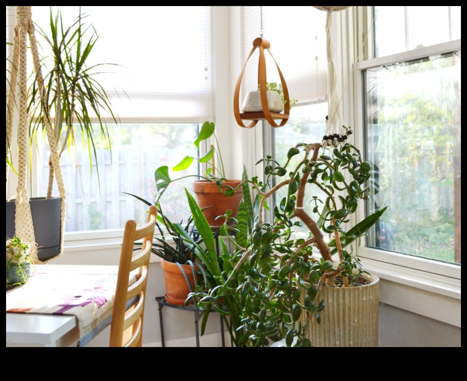 Indoor Jungle Dreams: proiectarea spațiilor verzi luxuriante în interior