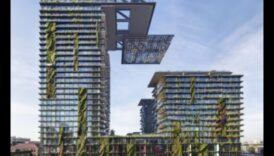 Înflorește zgârie-nori: creșterea frumuseții cu grădinăritul vertical