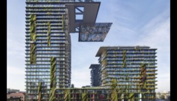 Înflorește zgârie-nori: creșterea frumuseții cu grădinăritul vertical