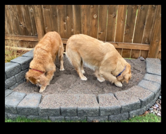 Ziua săpatului câinelui: crearea unei gropi de săpat pentru distracția caninilor